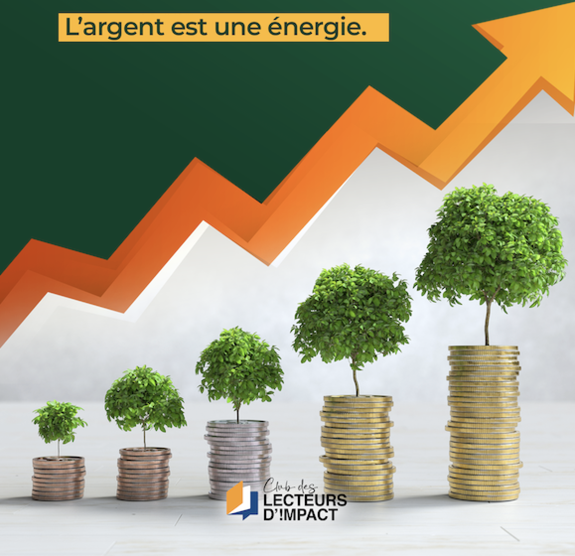 COMMENT GAGNER, GÉRER ET MULTIPLIER SON ARGENT ?